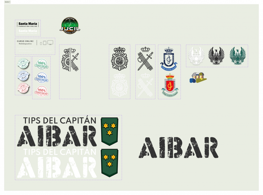 Vectorización de logos y divisas.
